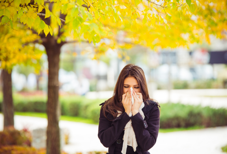 Alergia v jeseni? Môžu za ňu plesne, ambrózia a roztoče>