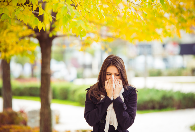 Alergia v jeseni? Môžu za ňu plesne, ambrózia a roztoče