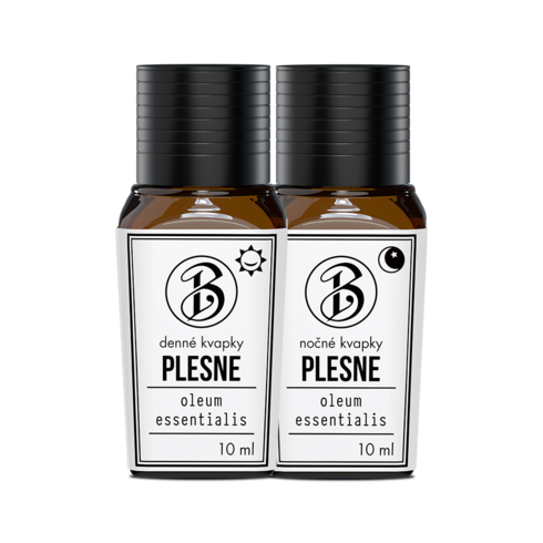 Plesne Plesne
