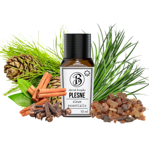 Plesne Plesne